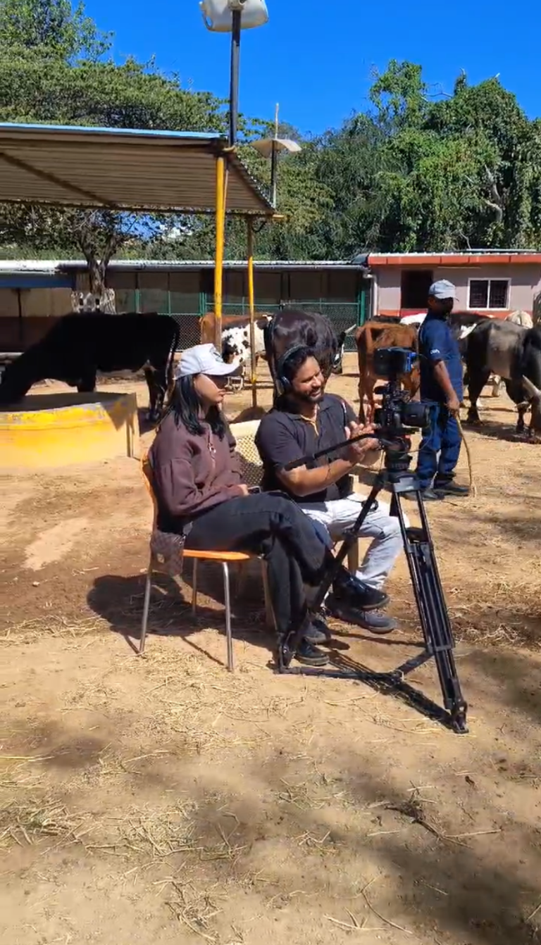 BTS (6)